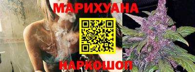 Альфа ПВП Дубна