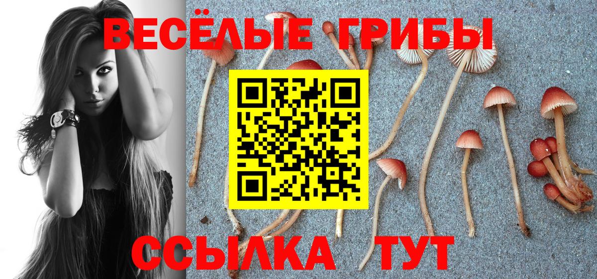 Галлюциногенные грибы Psilocybine cubensis  Вход с VPN  Мыски  Псилоцибиновые грибы Psilocybe 